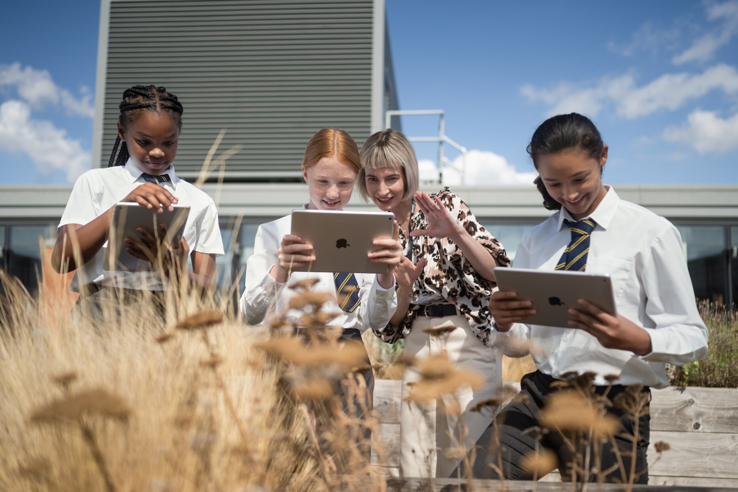 Apple iPad A16 Cellular Farben