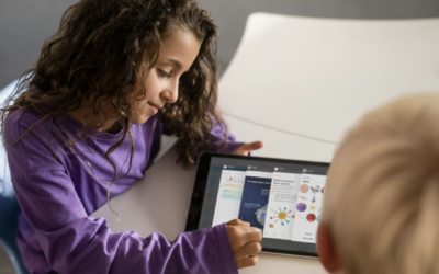 Webinar – SchulMobE